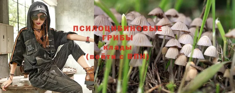 Галлюциногенные грибы MAGIC MUSHROOMS  где купить   MEGA зеркало  Вытегра 