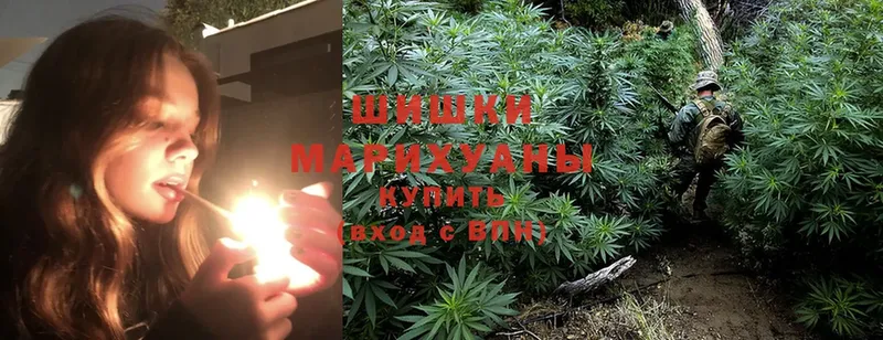 МАРИХУАНА White Widow  Вытегра 